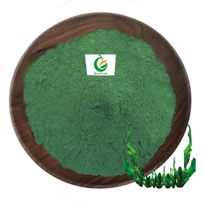 60% de proteína de algas orgánicas Chlorella Spirulina en polvo