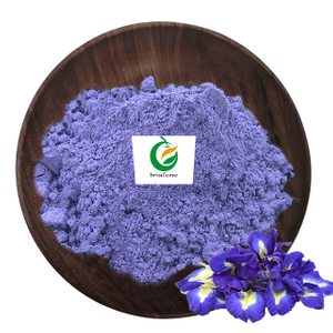 Polvo de extracto de flor de guisante de mariposa azul orgánico