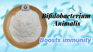 Bifidobacterium Animalis..jpg