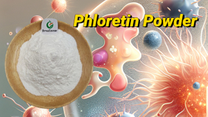 Phloretin (2).jpg